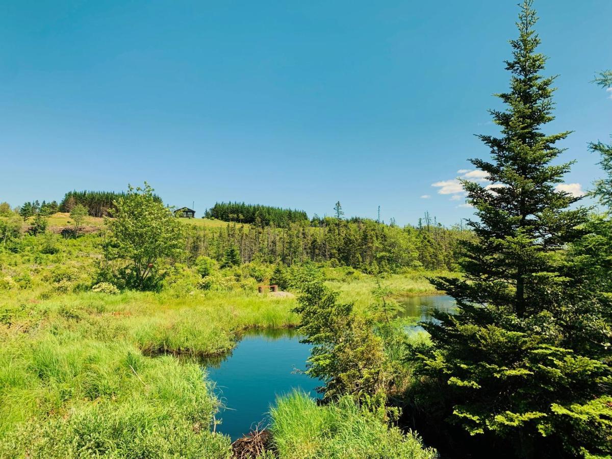 Eagle Valley Cottages Queensport Екстериор снимка